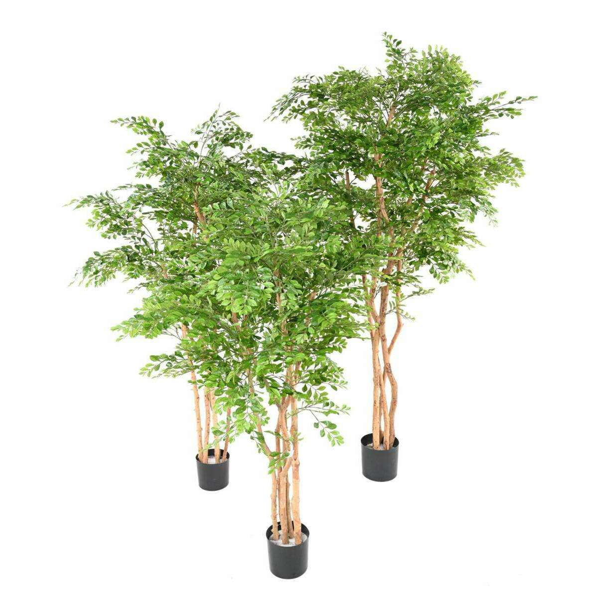 Arbre artificiel Acacia 5 troncs - plante d'intérieur - H.210cm vert