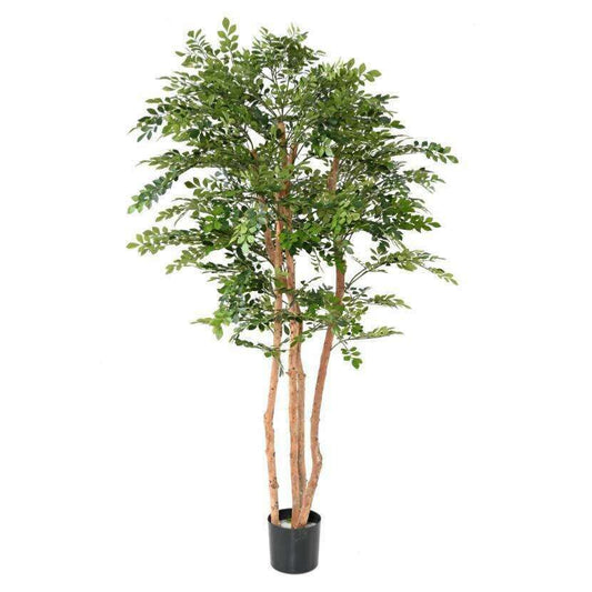 Arbre artificiel Acacia eco - plante d'intérieur - H.200cm vert