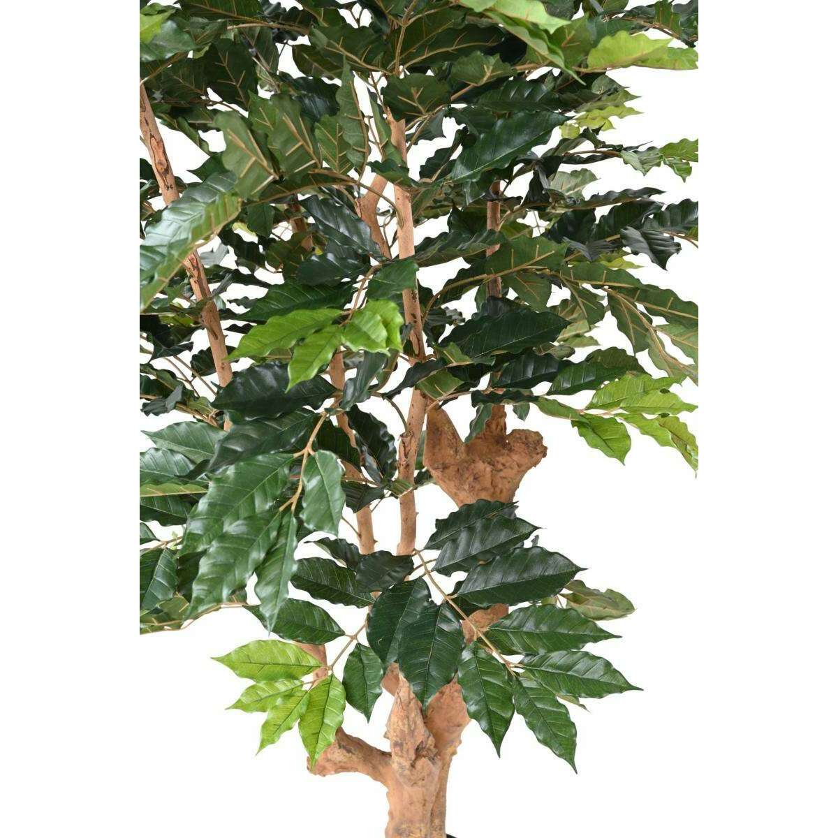 Arbre artificiel Caféier 5 branches - plante d'intérieur - H.180cm vert