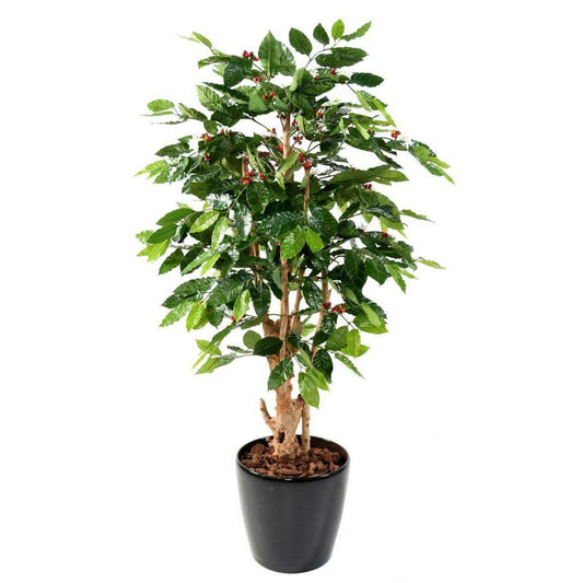 Arbre artificiel Caféier fleurs tronc noueux - plante d'intérieur - H.150cm