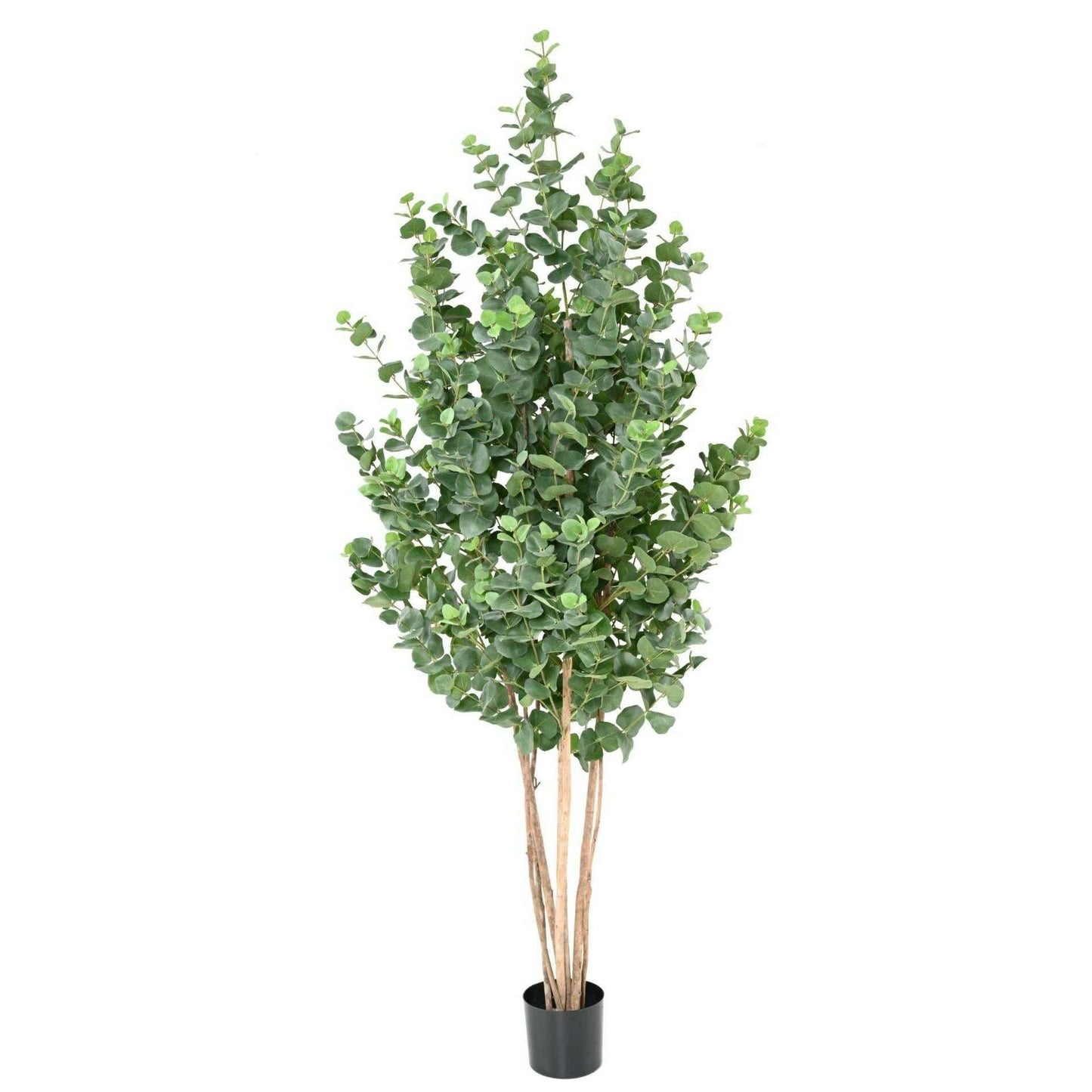 Arbre artificiel Eucalyptus Gunnii - plante synthétique d'intérieur - H.150cm
