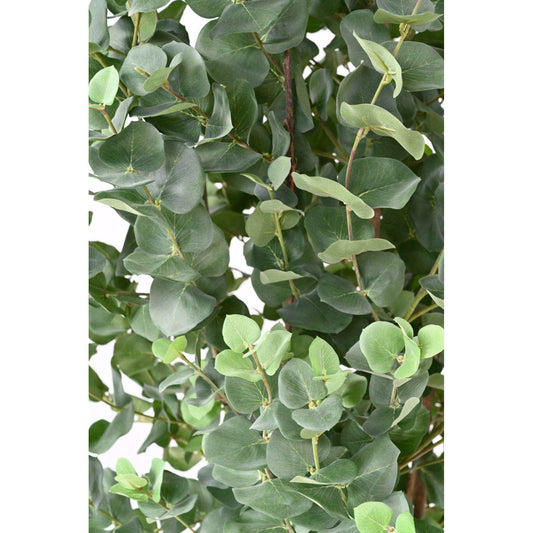 Arbre artificiel Eucalyptus Gunnii - plante synthétique d'intérieur - H.150cm