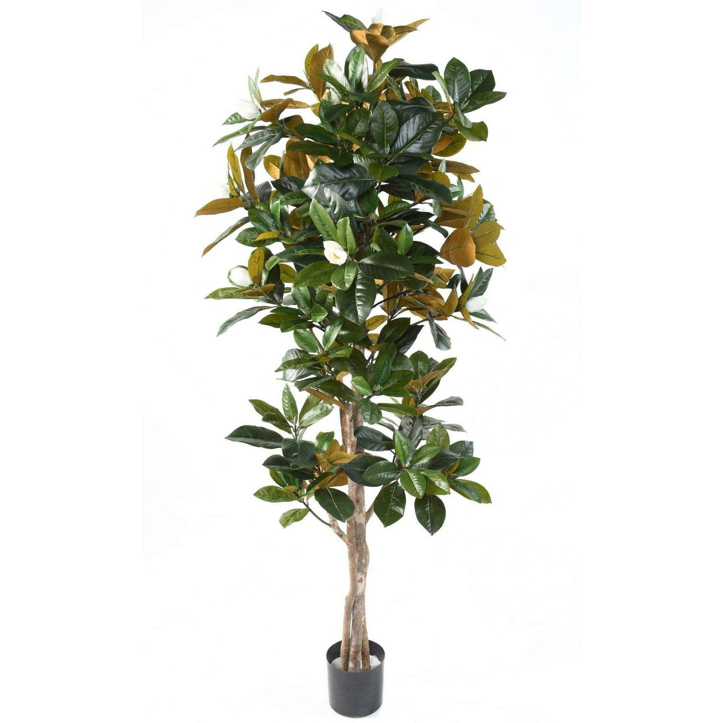Arbre artificiel fleuri Magnolia 8 Fleurs - plante d'intérieur - H.185cm blanc