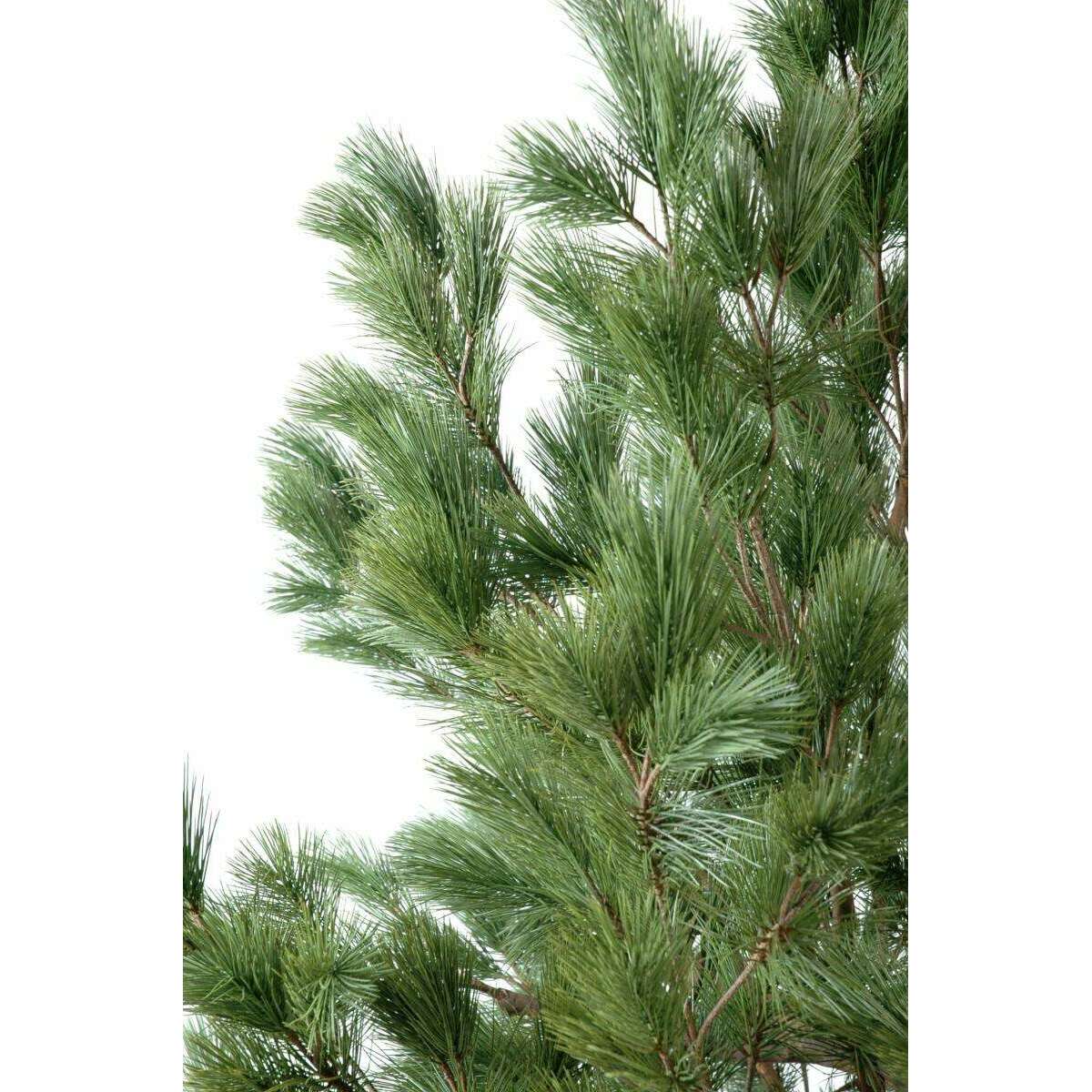 Arbre artificiel forestier Pin Autriche large - arbre méditerranéen intérieur - H.450cm