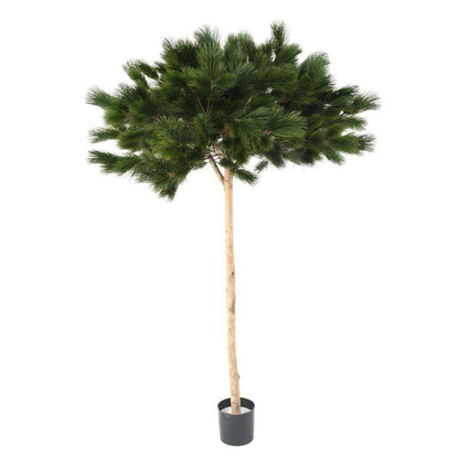 Arbre artificiel forestier Pin Umbrella - arbre méditerranéen intérieur - H.210cm