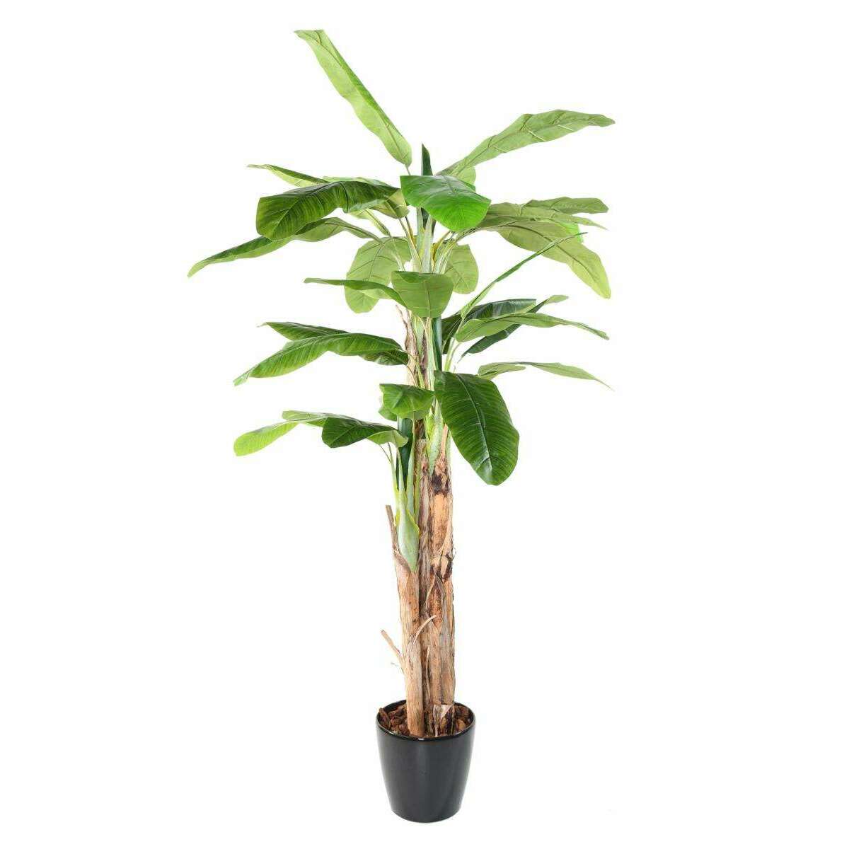 Arbre artificiel fruitier Bananier 3 troncs - intérieur - H.240cm vert