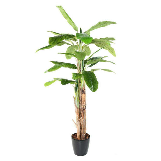 Arbre artificiel fruitier Bananier 3 troncs - intérieur - H.240cm vert