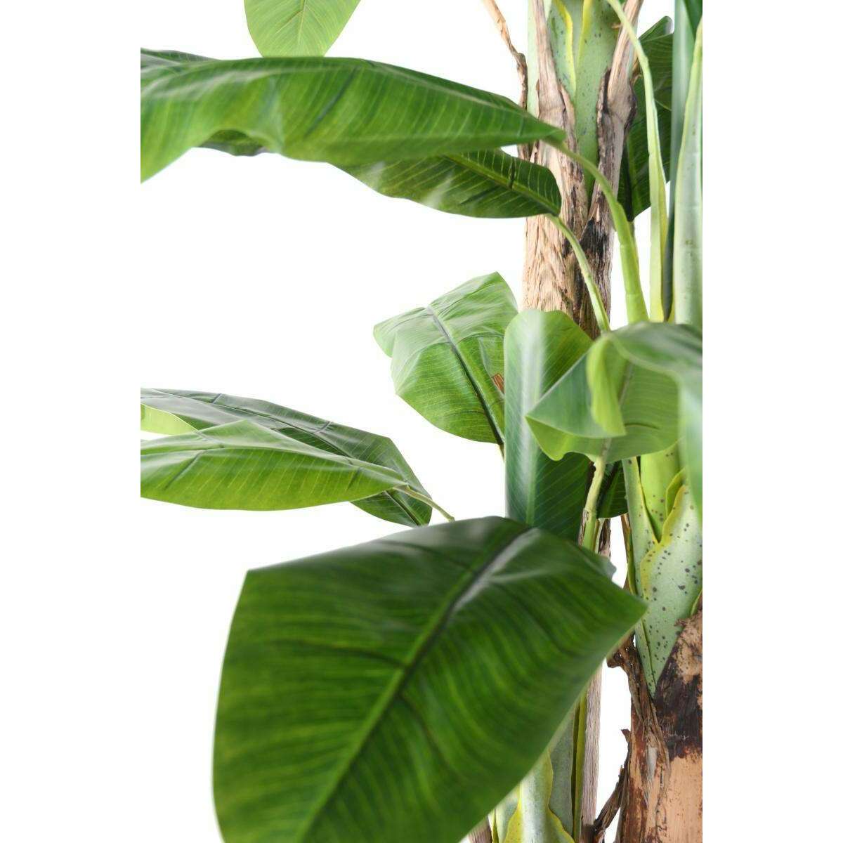 Arbre artificiel fruitier Bananier 3 troncs - intérieur - H.240cm vert