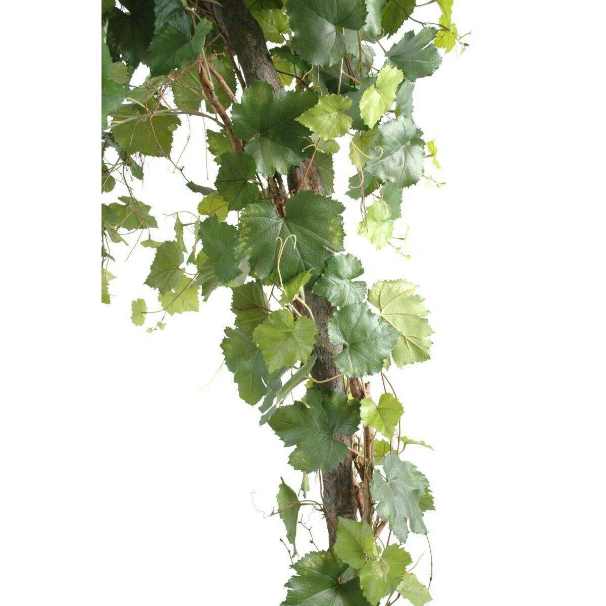 Arbre artificiel fruitier Vigne Round - plante pour intérieur - H.200cm