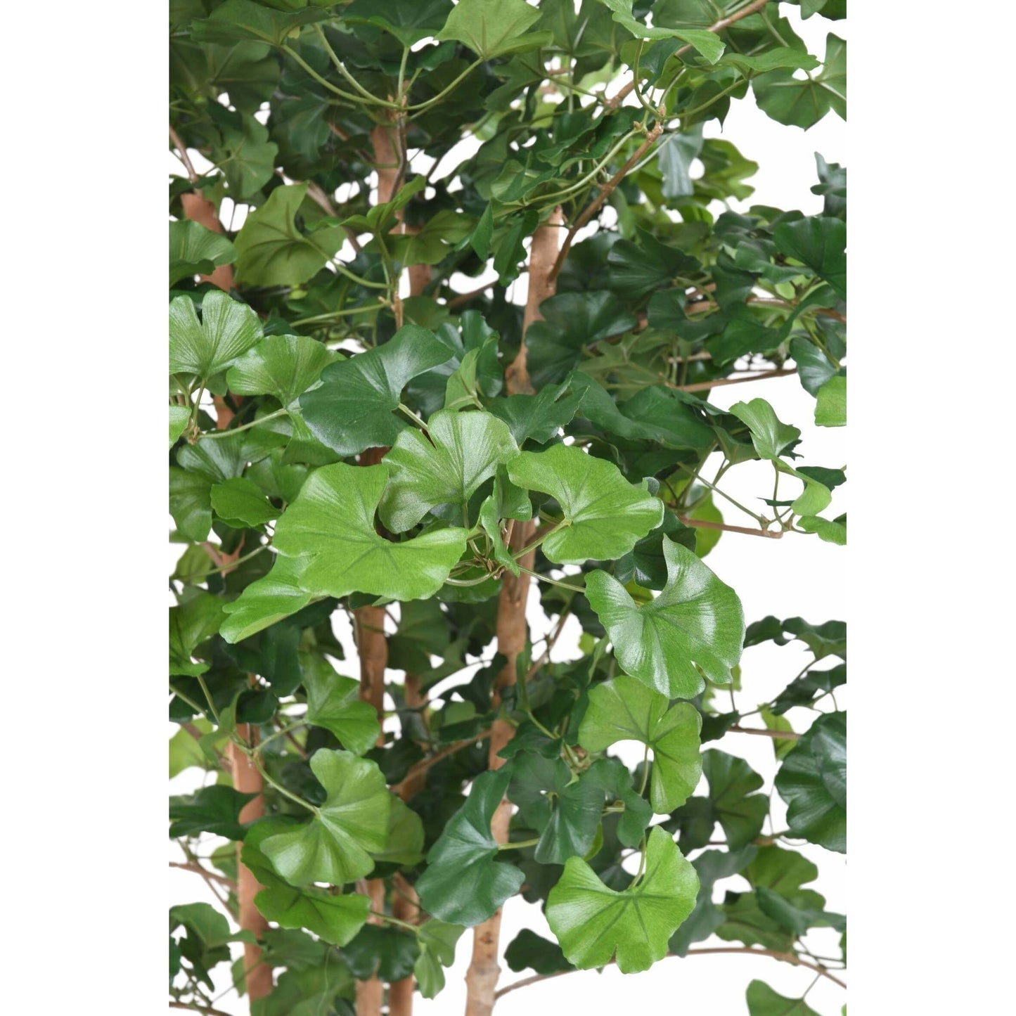 Arbre artificiel Ginkgo biloba root - plante synthétique d'intérieur - H.180cm