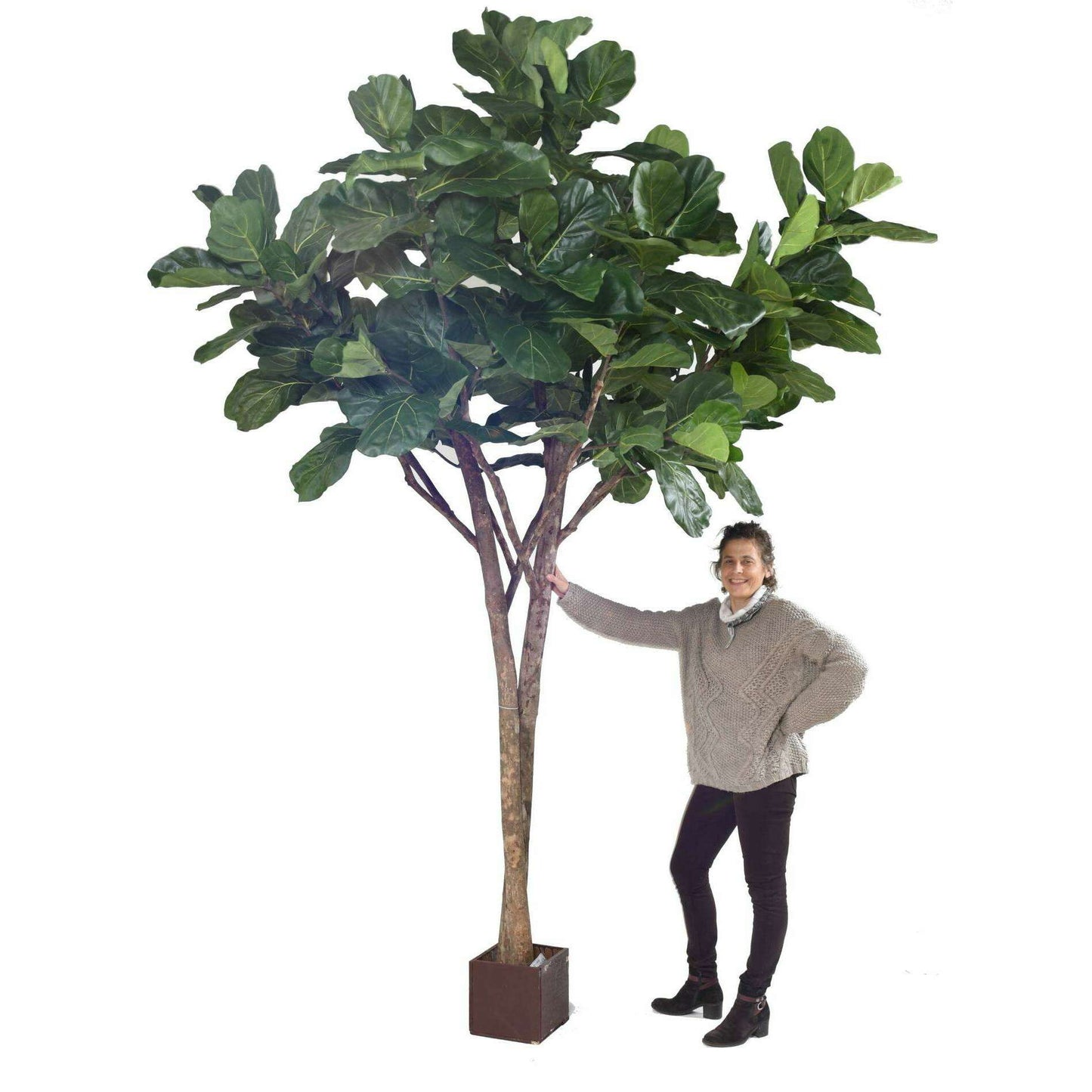 Arbre artificiel Lyrata multi tree - plante semi-naturelle d'intérieur - H.340cm