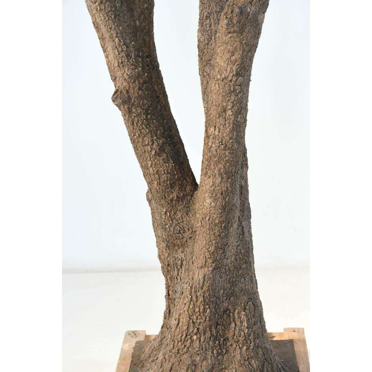 Arbre artificiel Olivier NC - plante pour intérieur - H.330cm