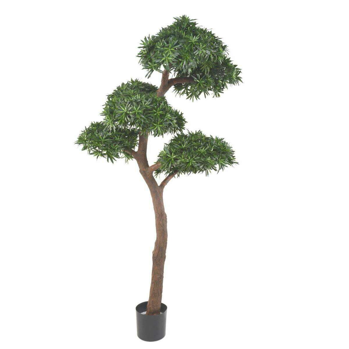 Arbre artificiel Podocarpus Bonsaï UV - intérieur extérieur - H.210cm