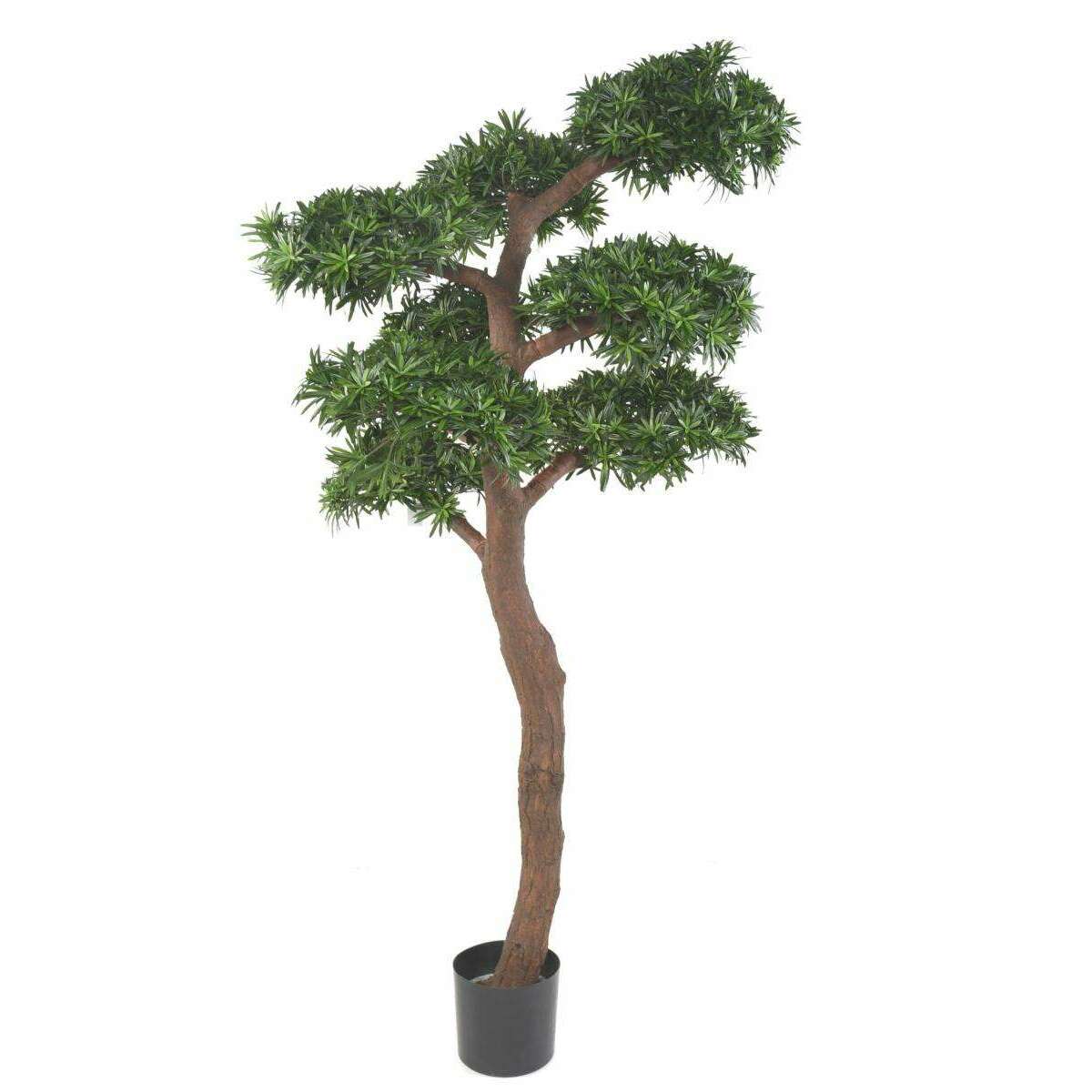 Arbre artificiel Podocarpus Bonsaï UV - intérieur extérieur - H.210cm