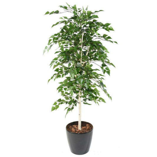Arbre forestier artificiel Bouleau TB - décoration d'intérieur - H.180cm