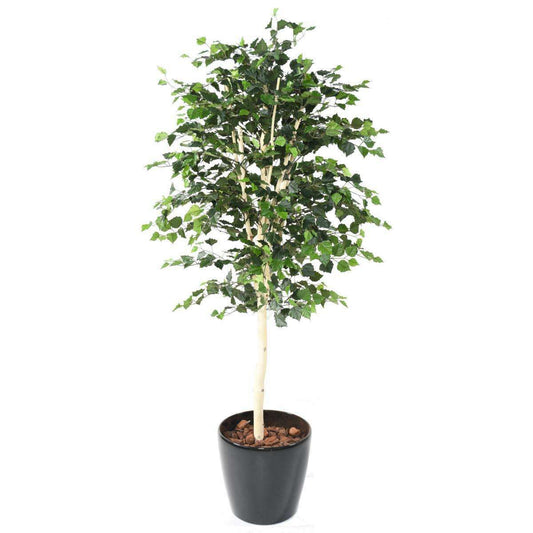 Arbre forestier artificiel Bouleau TS - décoration d'intérieur - H.170cm