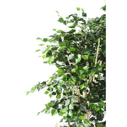 Arbre forestier artificiel Bouleau TS - décoration d'intérieur - H.170cm