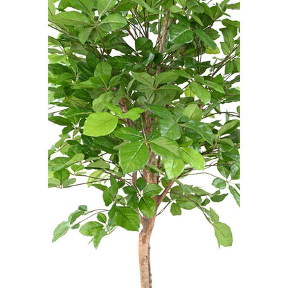 Arbre forestier artificiel Hêtre Grandifolia - décoration d'intérieur - H.160cm