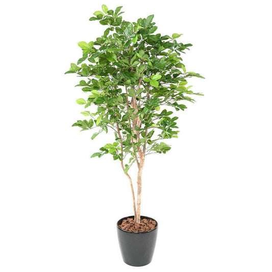 Arbre forestier artificiel Hêtre Grandifolia - décoration d'intérieur - H.190cm