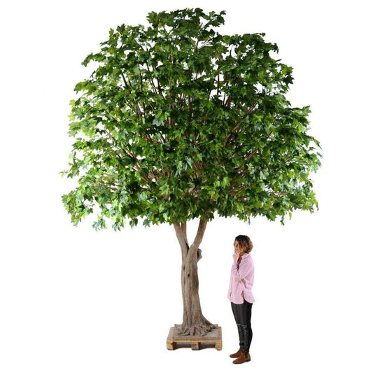 Arbre forestier artificiel Platane - décoration pour intérieur - H.490cm