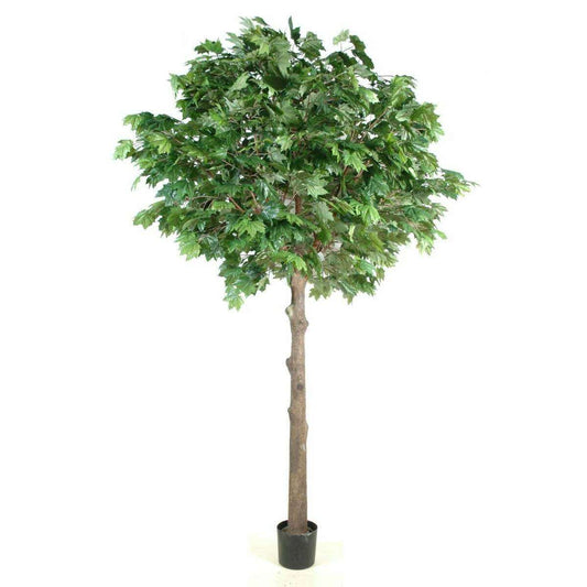 Arbre forestier artificiel Platane tête - décoration d'intérieur - H.400cm