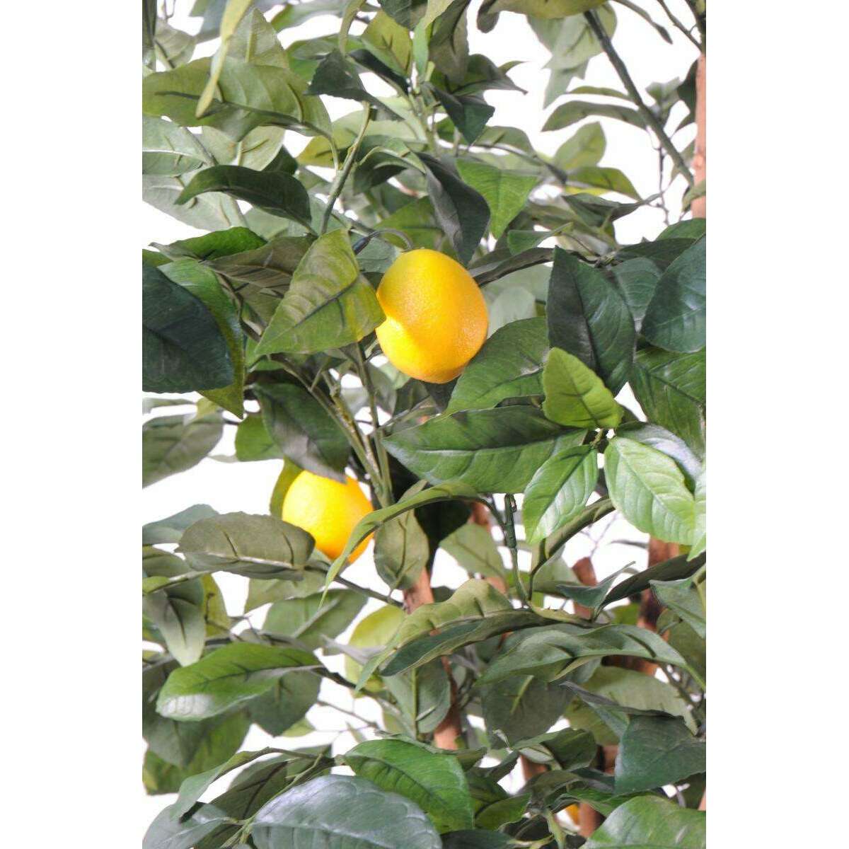 Arbre fruitier artificiel Citronnier et fruits - plante intérieur - H.150cm