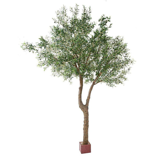 Arbre fruitier artificiel Olivier géant 2 têtes et olives - plante pour intérieur - H.350cm