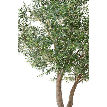 Arbre fruitier artificiel Olivier géant 2 têtes et olives - plante pour intérieur - H.350cm
