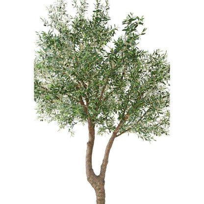 Arbre fruitier artificiel Olivier géant 2 têtes et olives - plante pour intérieur - H.350cm