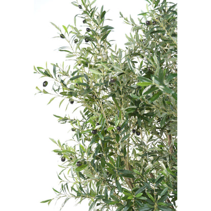 Arbre fruitier artificiel Olivier large - plante d'intérieur - H.215cm