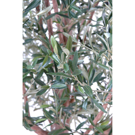 Arbre fruitier artificiel Olivier tête large et olives - plante pour intérieur - H.170cm
