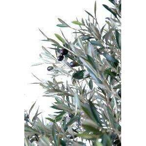 Arbre fruitier artificiel Olivier tête large et olives - plante pour intérieur - H.170cm
