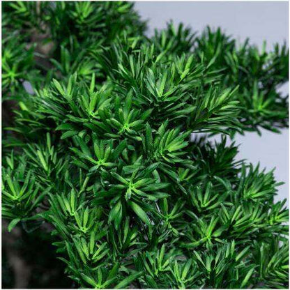 Arbre japonais artificiel Podocarpus nuage anti-UV - intérieur extérieur - H.210cm