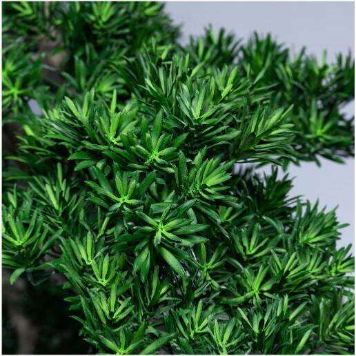 Arbre japonais artificiel Podocarpus nuage anti-UV - intérieur extérieur - H.210cm