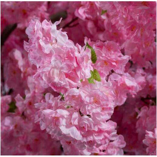 Arbre mange debout Cerisier artificiel fleuri UV - intérieur extérieur - H.280cm rose