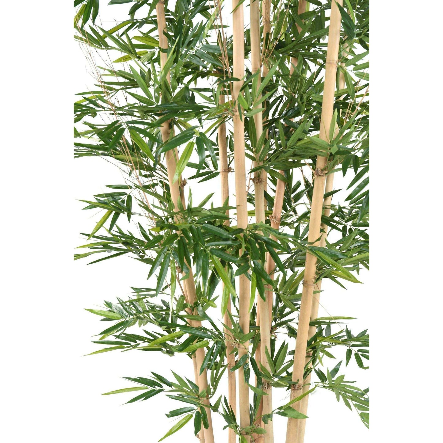 Bambou artificiel géant 9 cannes naturelles - décoration d'intérieur - H.320cm