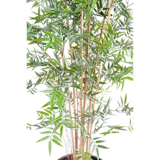 Bambou artificiel Japanese UV résistant - intérieur extérieur - H.180cm vert