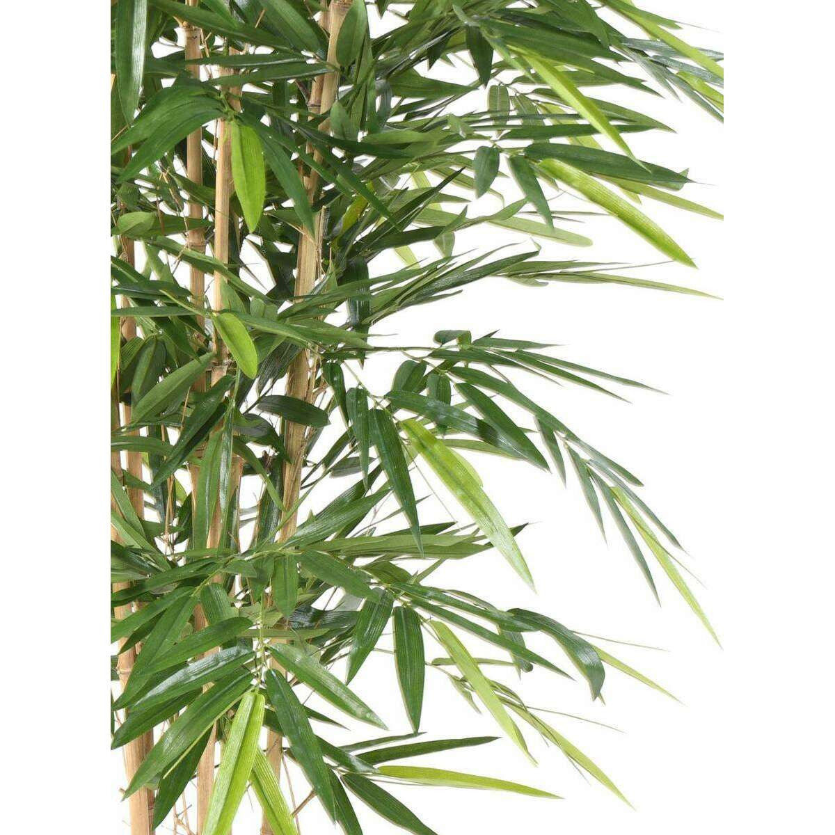 Bambou artificiel Luxe 7 cannes naturelles - intérieur - H.180cm vert