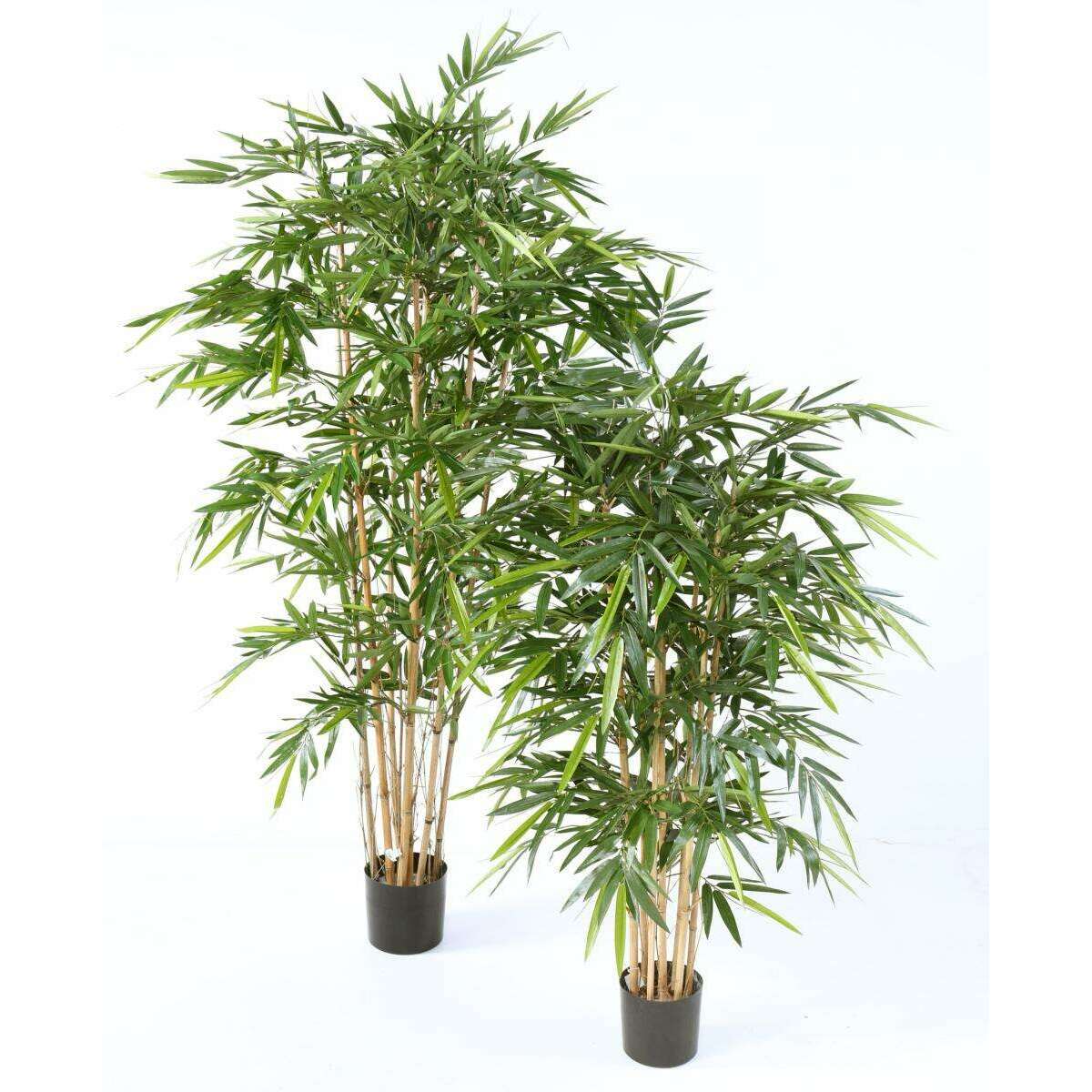 Bambou artificiel Luxe 8 cannes naturelles - intérieur - H.210cm vert