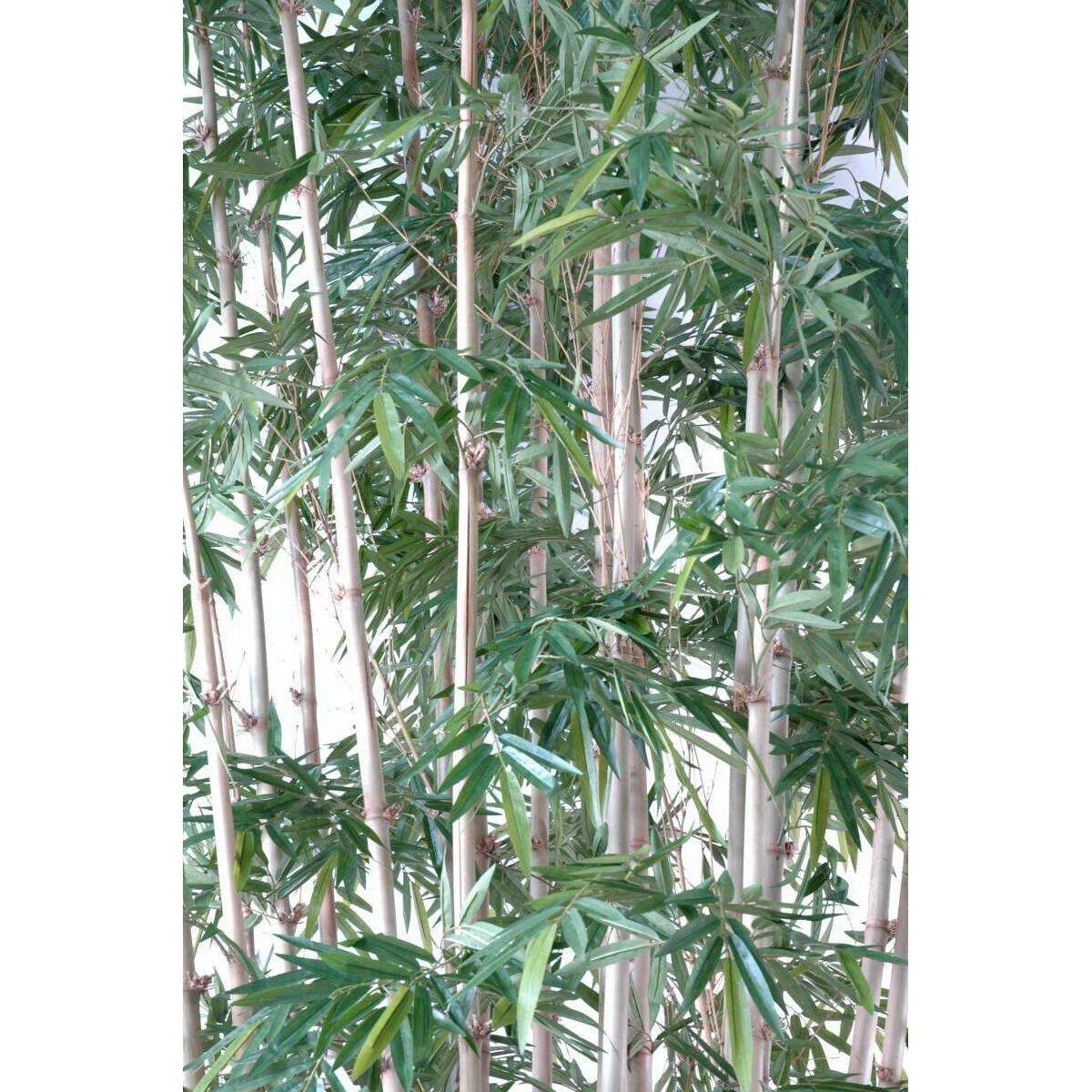 Bambou artificiel luxe XXL 25 cannes naturelles - intérieur - H.400cm vert