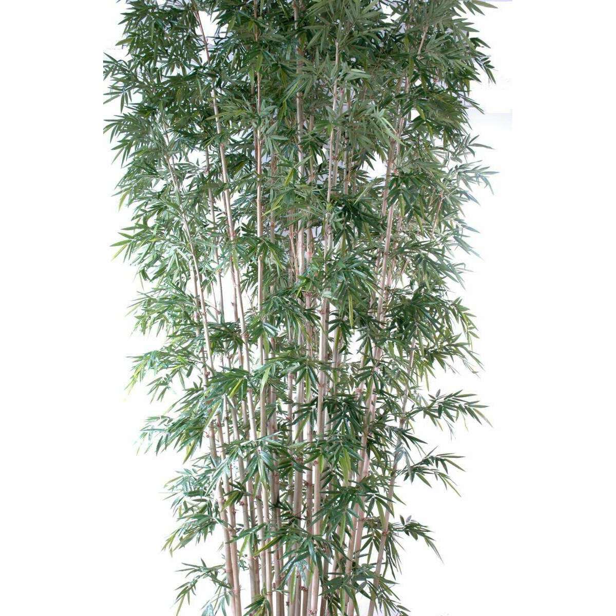 Bambou artificiel luxe XXL 25 cannes naturelles - intérieur - H.400cm vert