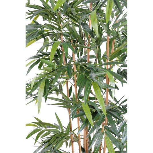 Bambou artificiel New 6 cannes naturelles - intérieur - H.210cm vert