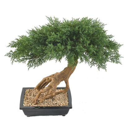 Bonsaï Juniperus artificiel en coupe - plante synthétique intérieur - H.60cm