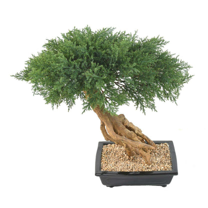 Bonsaï Juniperus artificiel en coupe - plante synthétique intérieur - H.60cm