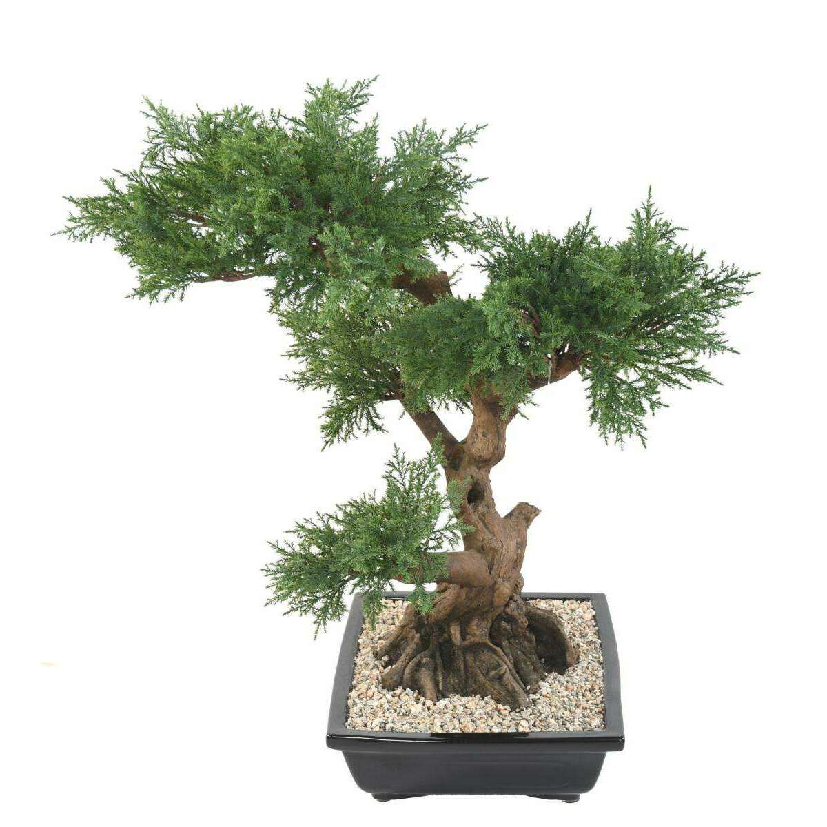Bonsaï Juniperus artificiel en coupe - plante synthétique intérieur - H.75cm