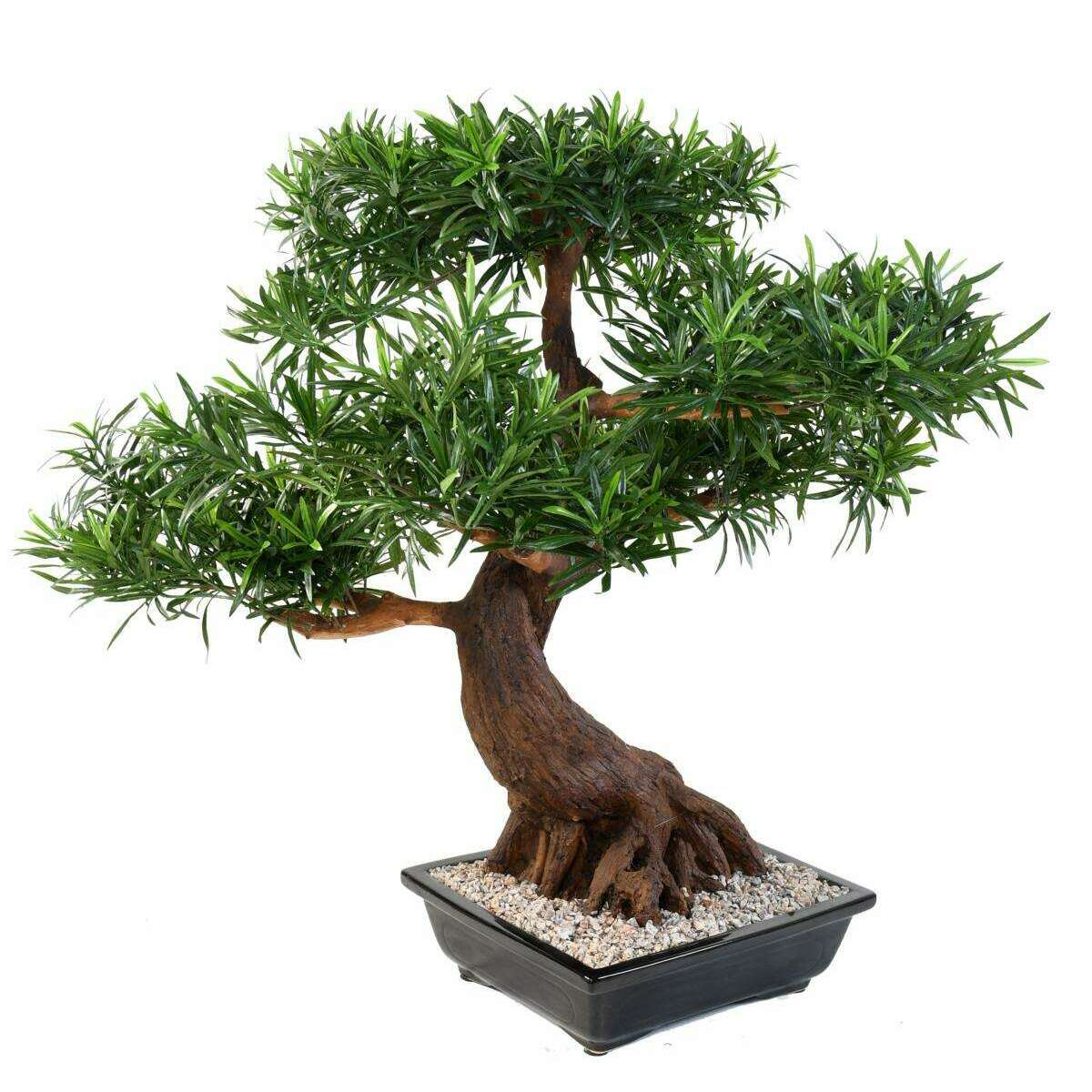Bonsaï Podocarpus artificiel en coupe - plante synthétique intérieur - H.78cm