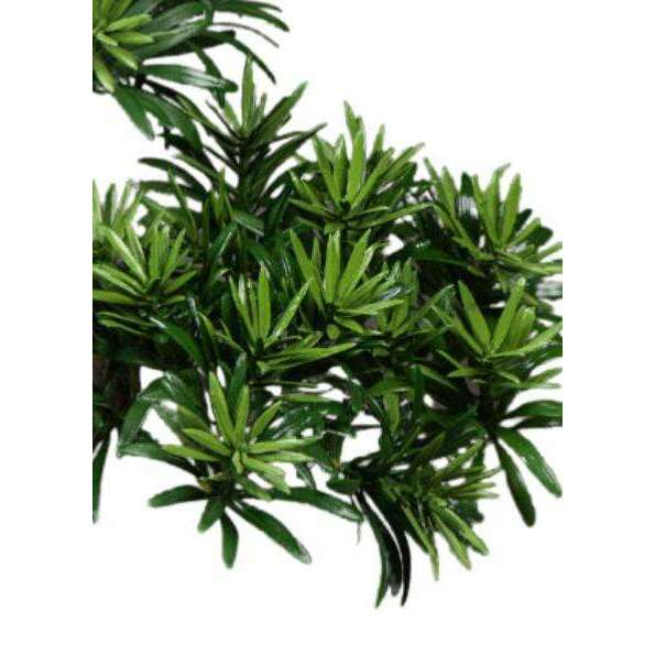 Bonsaï Podocarpus artificiel en pot - plante synthétique intérieur - H.50cm