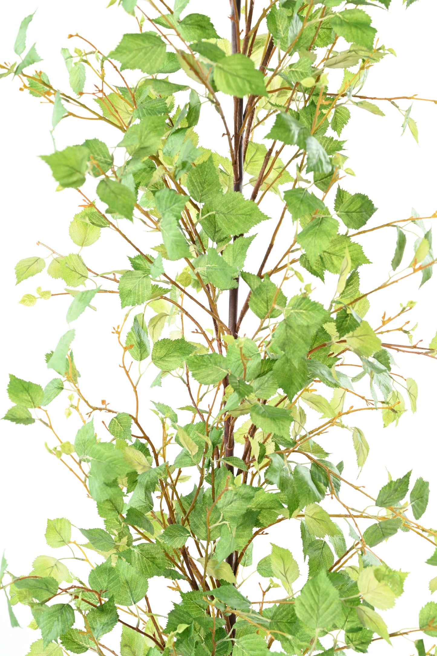 Feuillage artificiel guirlande de bouleau - décoration intérieur -  H.210 cm – Vert