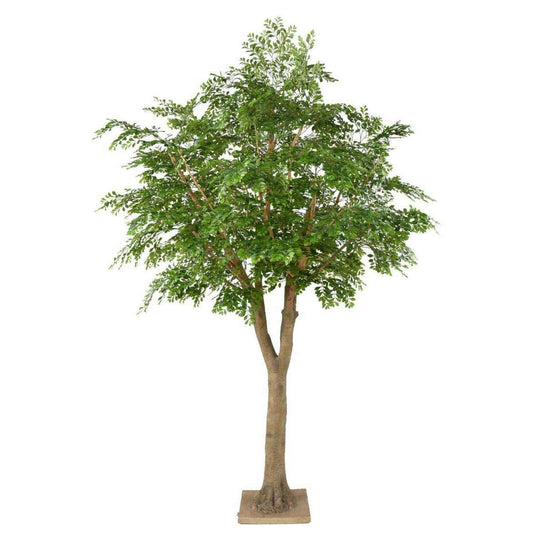Bucida Arbre artificiel - plante décoration d'intérieur - H.300cm