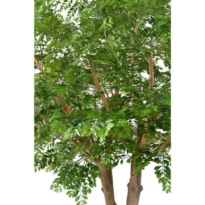 Bucida Arbre artificiel - plante décoration d'intérieur - H.300cm